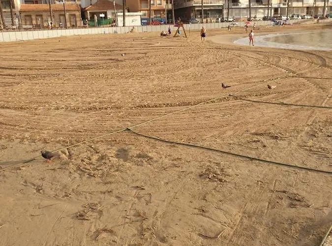 Mit Pool,450 M Zur Apartment Torrevieja